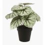 Artificial painted-leaf begonia MEIRA, green-grey, 10"/25cm