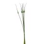 Artificial allium buds bunch PETRER, green, 33"/85cm