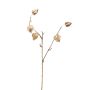Artificial Physalis branch TARAZED with fruits, gold, 24"/60cm