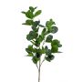 Artificial Ficus Panda branch BANDE, green, 3ft/90cm