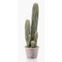 Artificial San Pedro cactus DACON in decorative pot, green, 22"/55cm