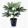 Artificial Aralia plant TEULADA, green, 12"/30cm