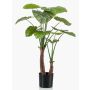 Plastic Alocasia Calidora XABIA, green, 4ft/110cm