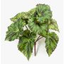 Artificial painted-leaf begonia MEIRA on spike, green-black, 10"/25cm