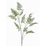 Artificial Asparagus Fern branch FAYNA, 4ft/135cm