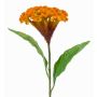 Artificial cockscomb ANUBIS, yellow-orange, 24"/60cm, Ø5.1"/13cm