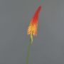 Artificial torch lily MUNDAKA, red-orange, 33"/85cm