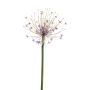 Plastic Allium GETARIA, purple, 3ft/105cm