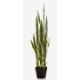 Artificial Sansevieria ELENE, green-yellow, 3ft/95cm