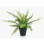 Plastic Boston fern MONTANES, green, 14"/35cm