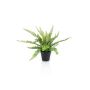 Plastic Boston fern MONTANES, green, 14"/35cm