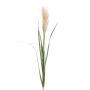 Artificial pampas grass ALCANTARA with panicle, green-brown, 4ft/120cm