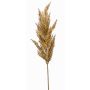 Artificial pampas grass panicle BATERNO, light brown, 3ft/90cm
