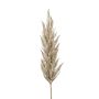 Artificial pampas grass panicle BATERNO, cream, 4ft/115cm