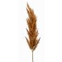 Artificial pampas grass panicle BATERNO, brown, 4ft/115cm