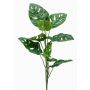 Artificial Philodendron Monstera Deliciosa BERLANGA, spike, 30"/75cm