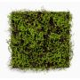 Artificial moss mat MIRANDILA, green, 20"x20"/50x50cm
