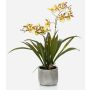 Artificial orchid Oncidium COLUNGA in ceramic pot, yellow-orange, 18"/45cm