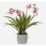 Artificial orchid Oncidium COLUNGA in ceramic pot, light pink-purple, 18"/45cm