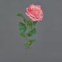 Rose artificial flower PEZOS, pink, 24"/60cm