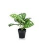 Artificial Philodendron Monstera Deliciosa PUYA, 12"/30cm