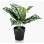 Artificial satin pothos OBASI, green-white, 10"/25cm