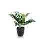 Artificial satin pothos OBASI, green-white, 10"/25cm