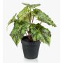 Artificial painted-leaf begonia MEIRA, green-black, 10"/25cm