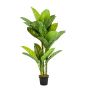 Artificial Dieffenbachia SARIEGO, green, 5ft/150cm