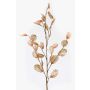 Artificial lunaria branch BUELNA, light brown, 3ft/105cm