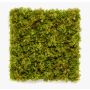 Decorative Iceland moss mat BEAS, crossdoor, flame resistant, 20"x20"/50x50cm