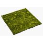 Artificial hypnum moss mat FERMIN, green, 3ftx3ft/100x100cm