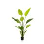 Artificial Strelitzia BEDAR, green, 5ft/150cm