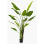 Artificial Strelitzia BEDAR, green, 6ft/180cm
