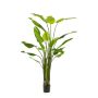 Artificial Strelitzia BEDAR, green, 8ft/235cm
