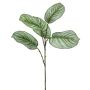 Artificial Calathea Orbifolia branch ALNIYAT, green-white, 30"/75 cm