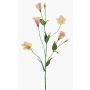Fake Lisianthus PAZAN, pink-cream, 28"/70 cm