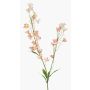 Artificial buttercup LOTA, pink, 33"/85cm, Ø1.2"-2"/3-5cm