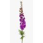 Silk delphinium SZILVIA, purple, 4ft/130 cm