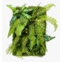 Artificial fern alocasia hedge / mat ALTERE green, 24"x16"/60x40cm