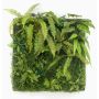 Artificial fern alocasia hedge / mat ALTERE green, 3ftx3ft/100x100cm