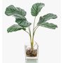 Artificial Calathea Orbifolia AGINA in glass pot, green-white, 14"/35 cm