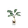 Artificial Calathea Orbifolia AGINA in glass pot, green-white, 14"/35 cm
