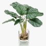 Artificial Calathea Orbifolia AGINA in glass pot, green-white, 16"/40 cm