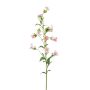 Silk bellflower AIMI, pink-cream, 3ft/90 cm