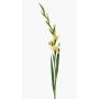 Artificial gladiolus AJNUR, yellow, 4ft/125 cm