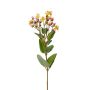 Fake St. John's wort CANNO with flowers, fruits, yellow-fuchsia, 26"/65 cm