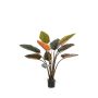 Artificial Strelitzia CIELU, green-orange, 4ft/120 cm