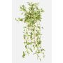 Artificial Tradescantia zebrina 'DIHALLO' on a stake, hanging, green-white, 28"/70cm