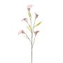 False branch Calla lily KASUMI, pink-white, 33"/85cm